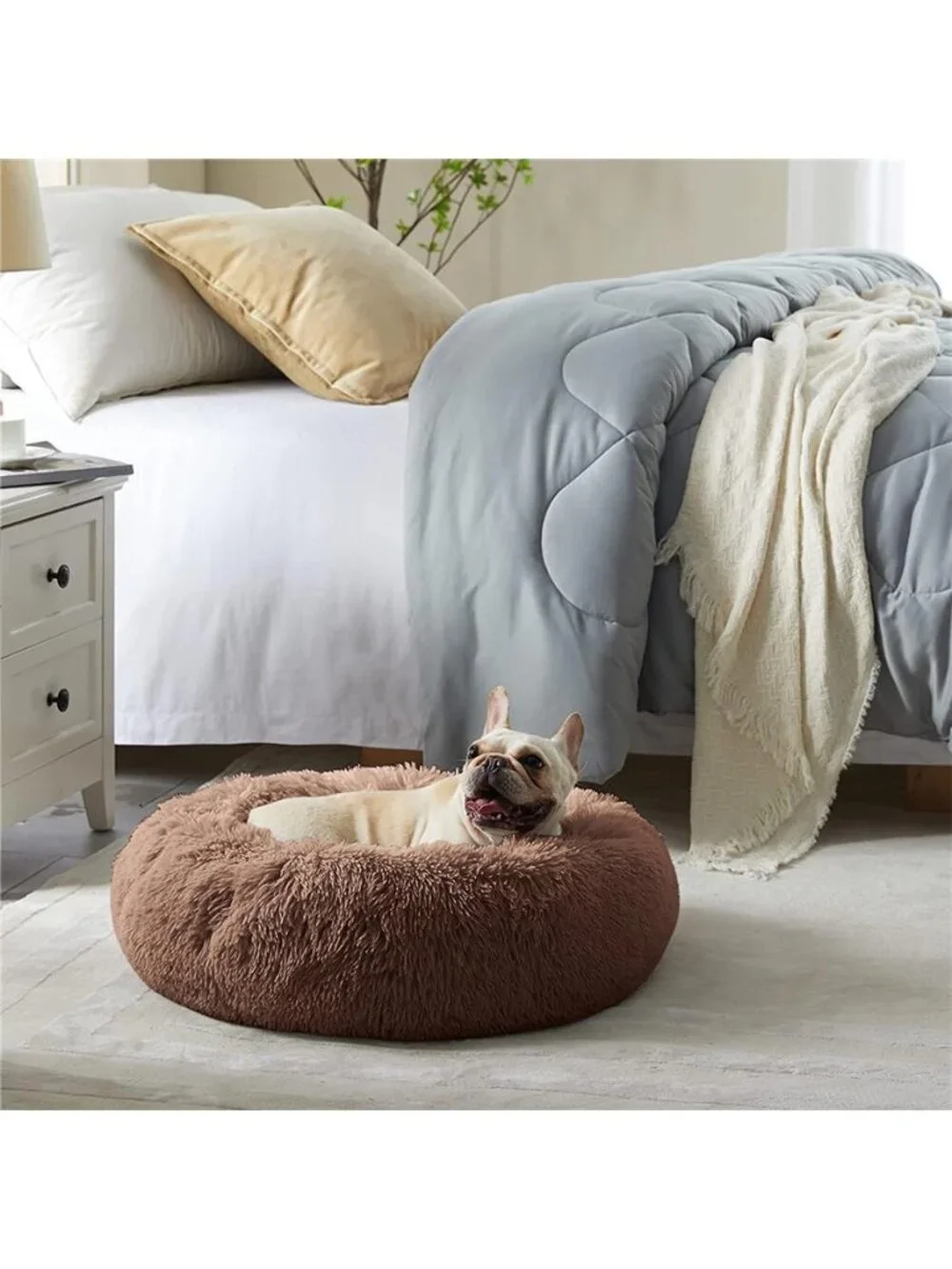 N/A comfortable dog