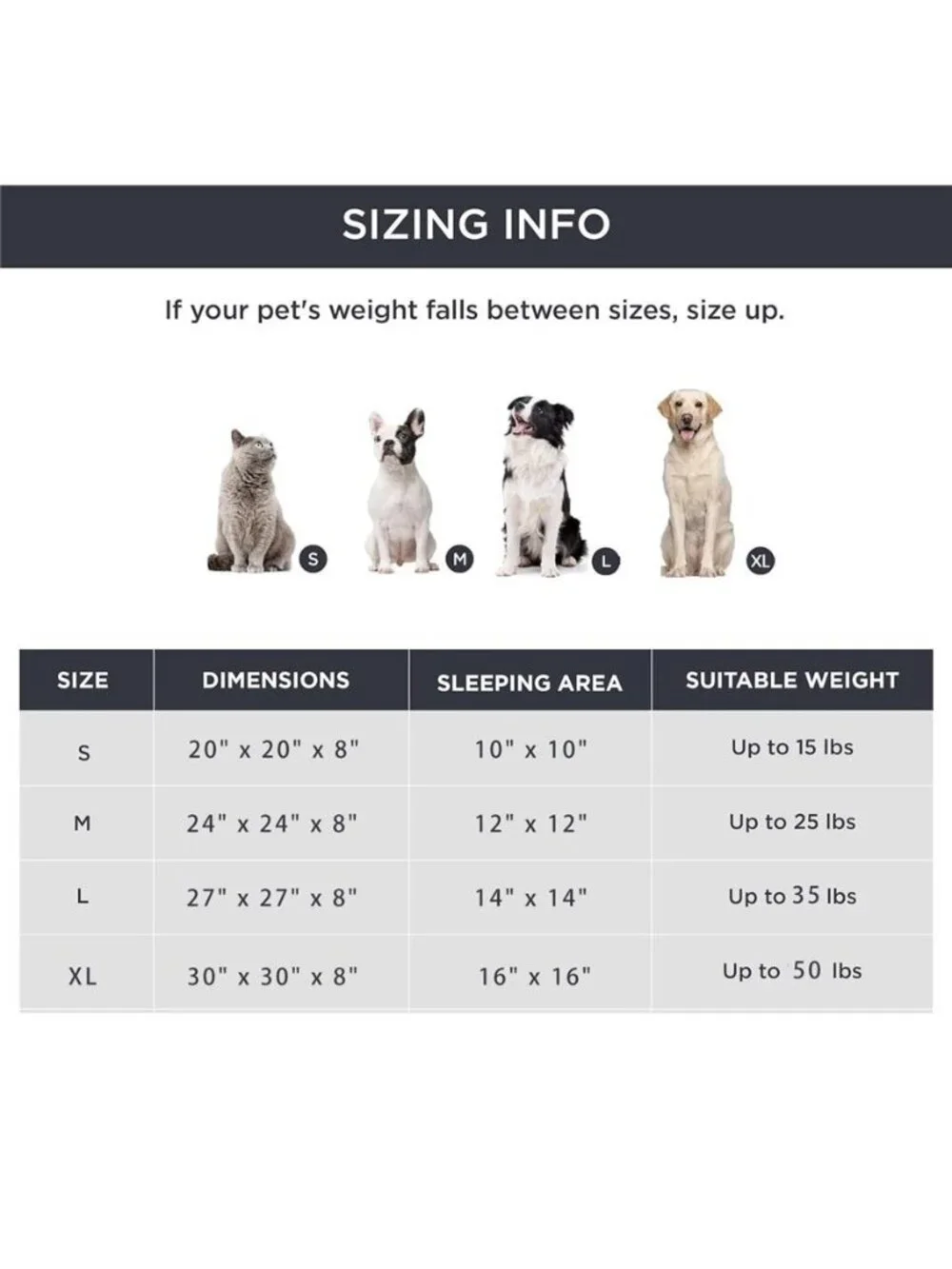 N/A comfortable dog