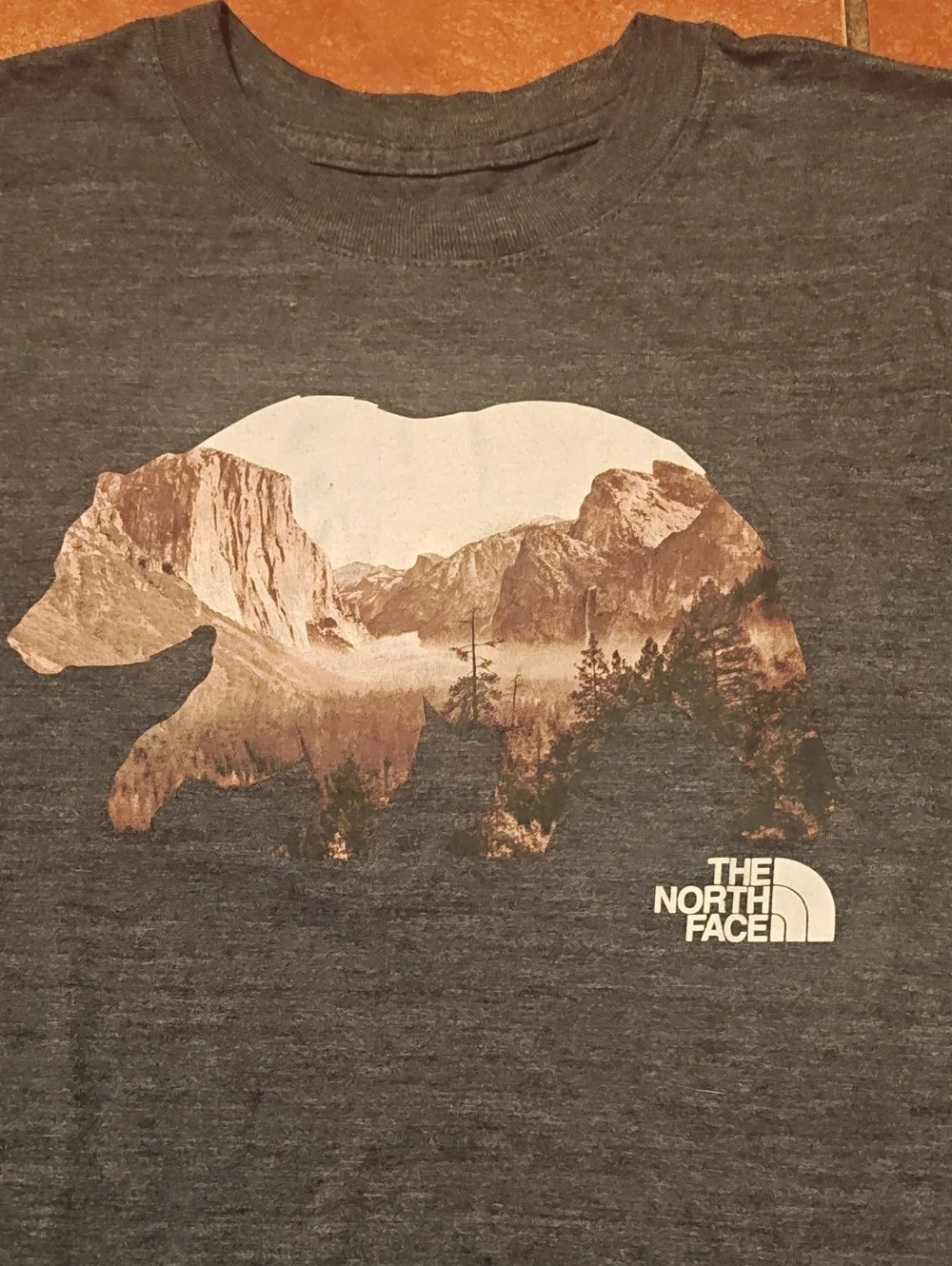 The North Face neck soft