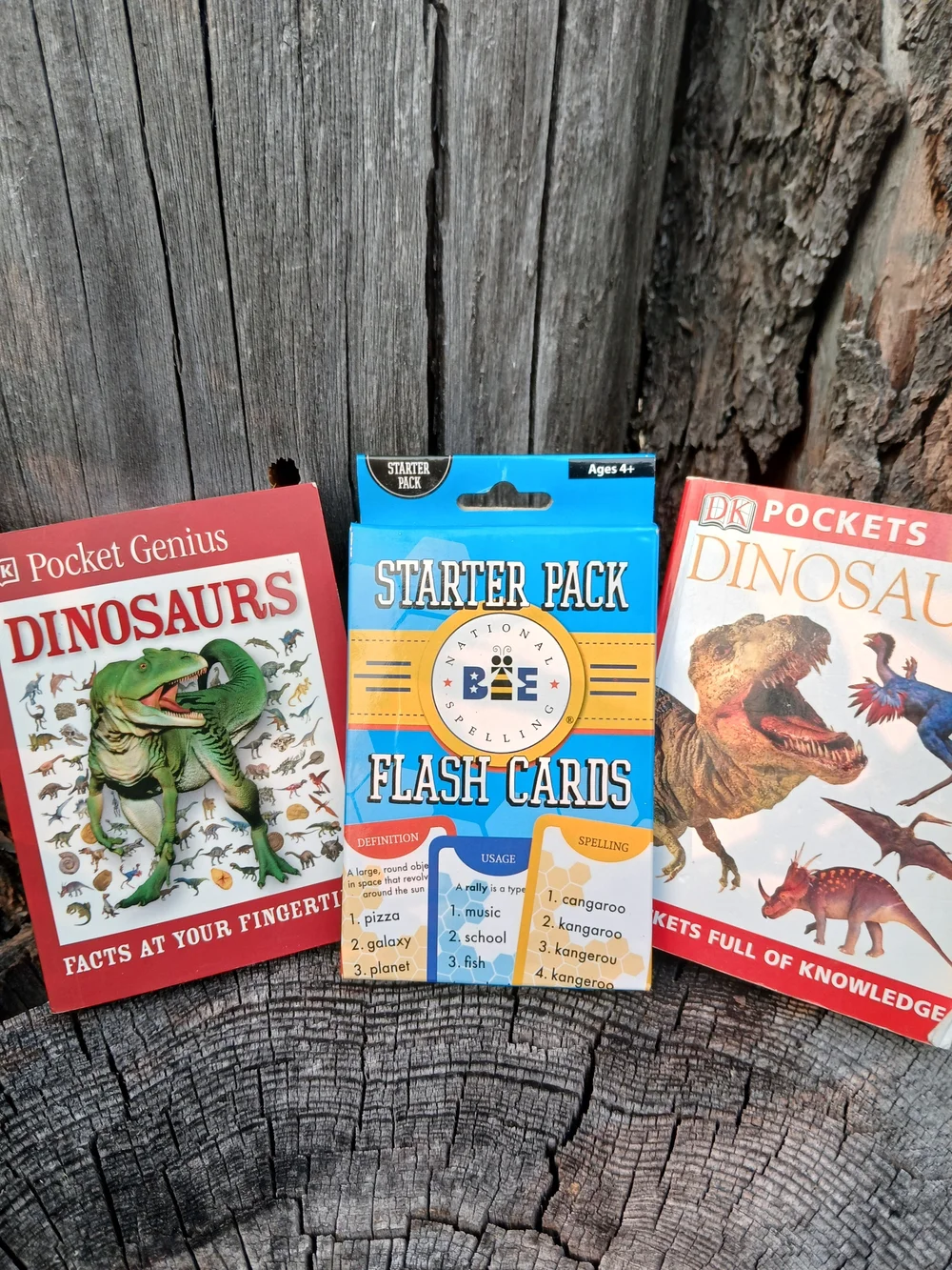 Kids Educational Bundle - 2 Dinosaur Books & Spelling Bee Flash Cards