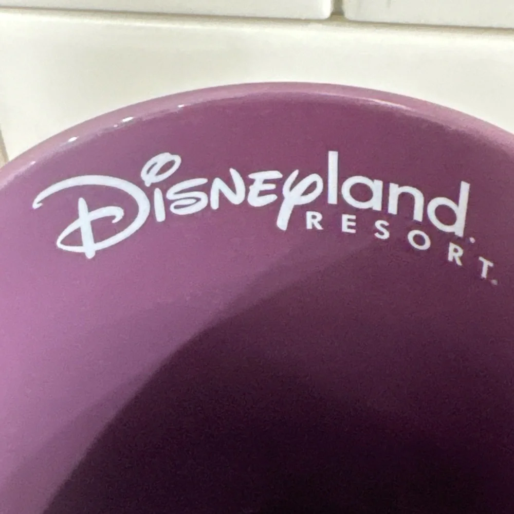 Disneyland Resort rare disneyland