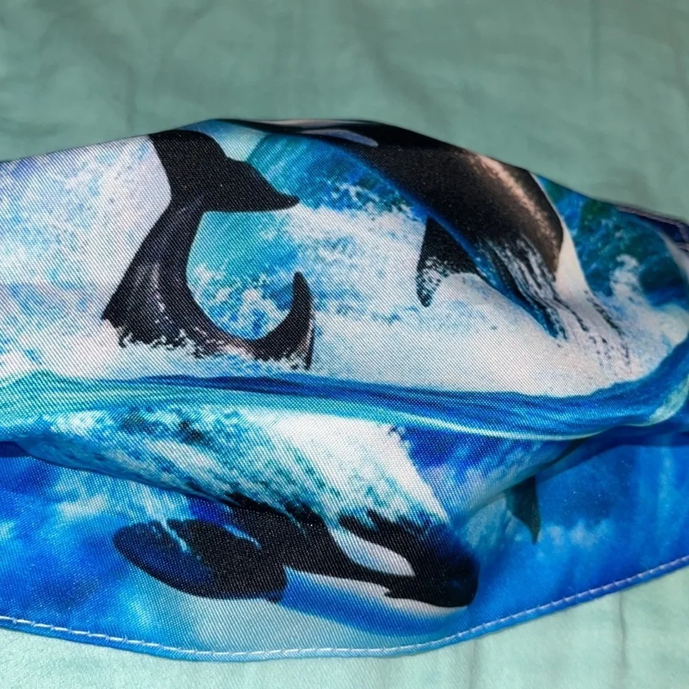 N/A new dolphin