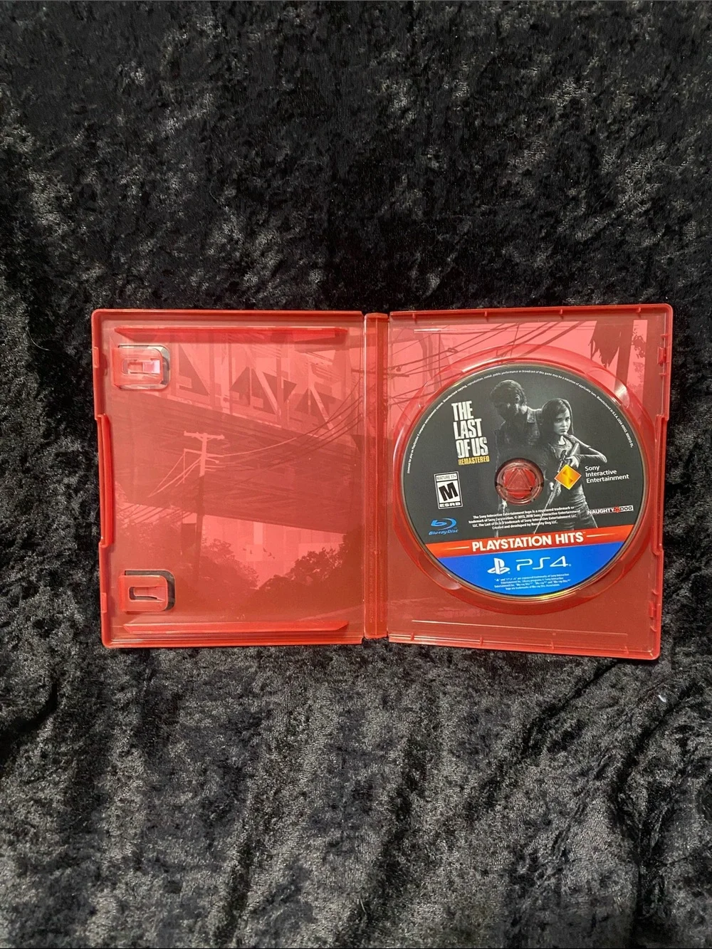 Naughty Dog experience acclaimed
