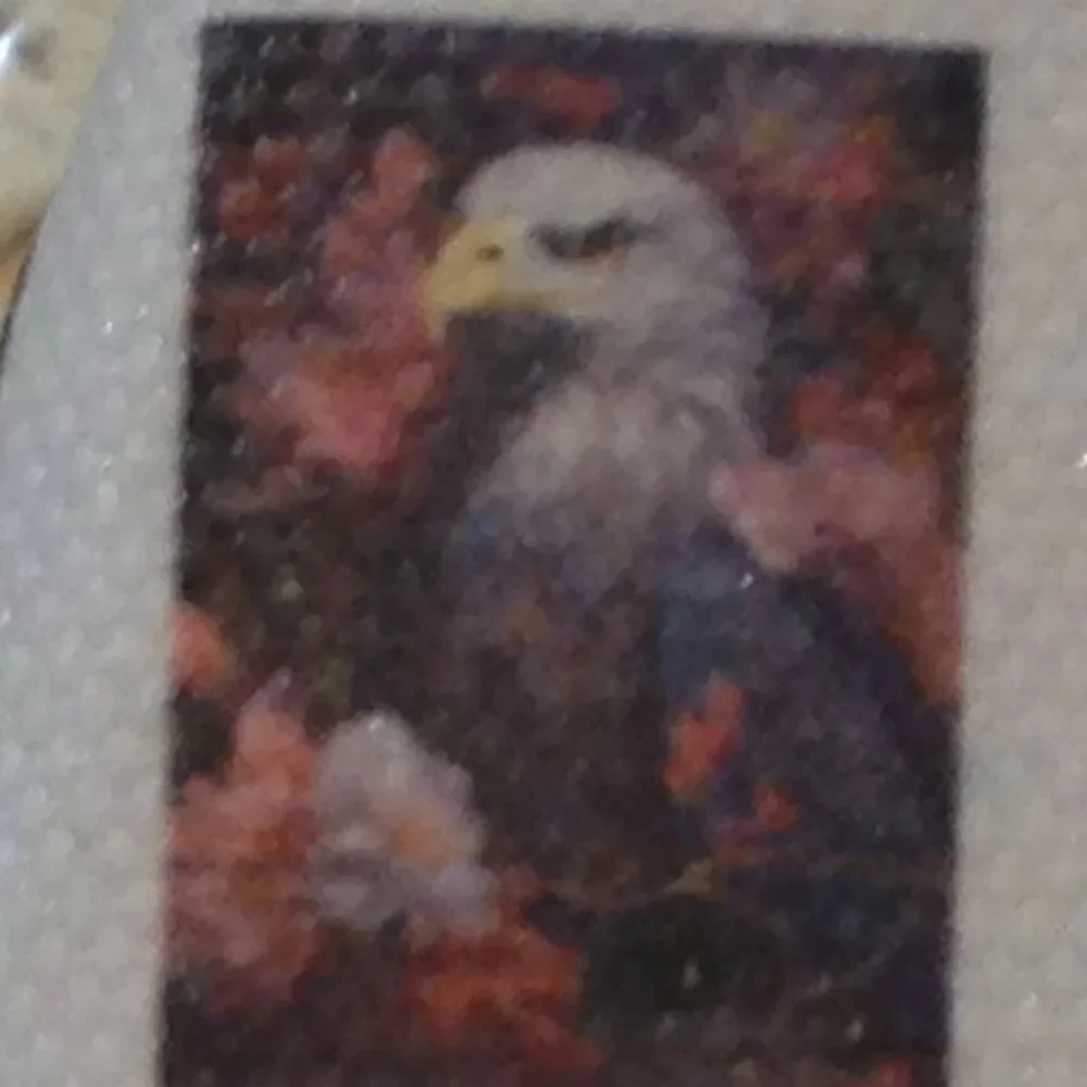 American Eagle / floral  Diamond Painting Kit, new item