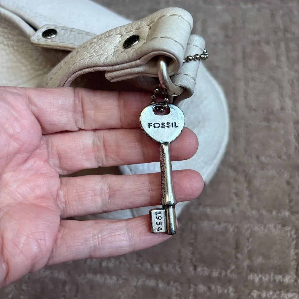 Fossil clean cloud bag