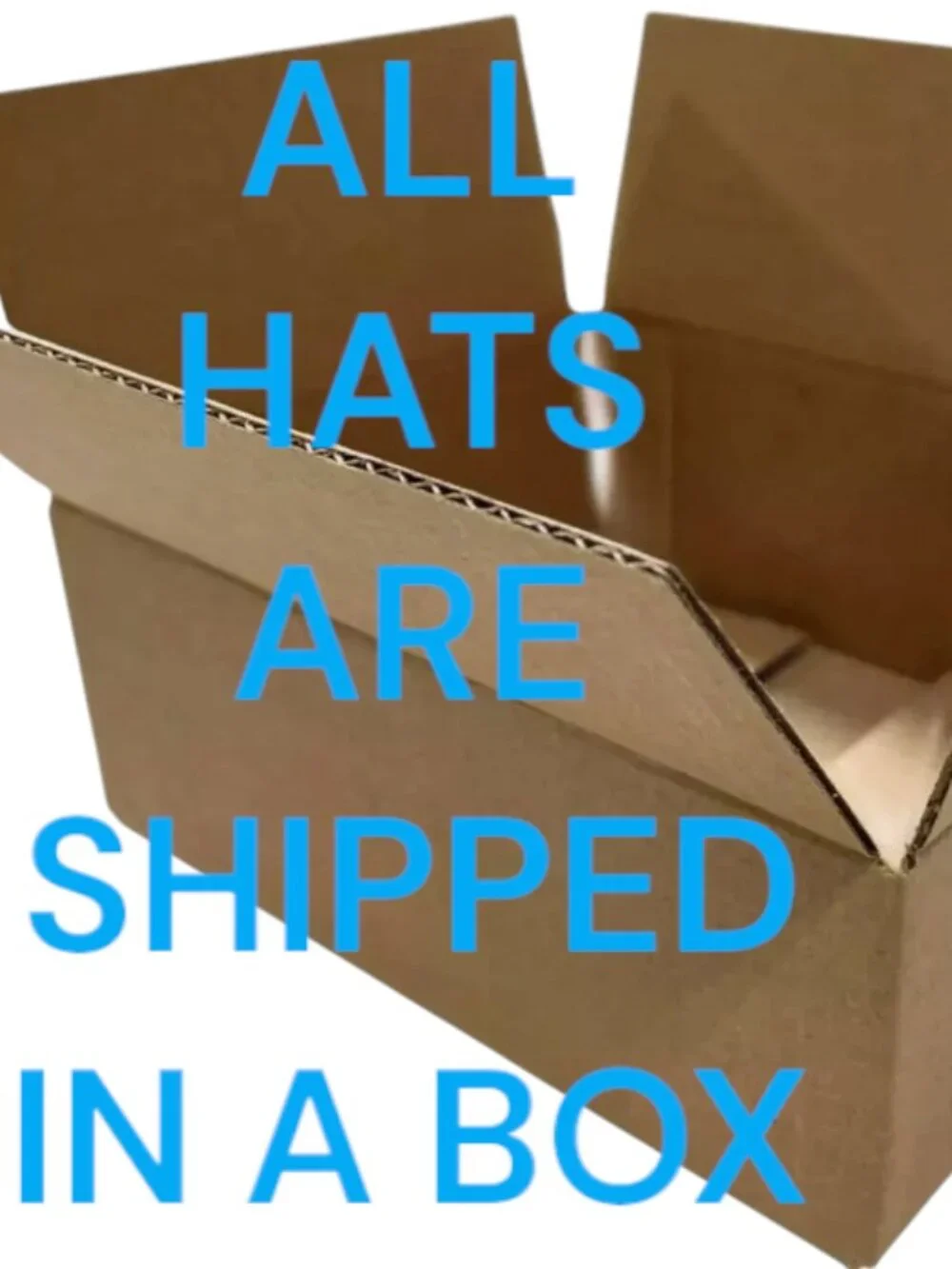 Pokémon item pre