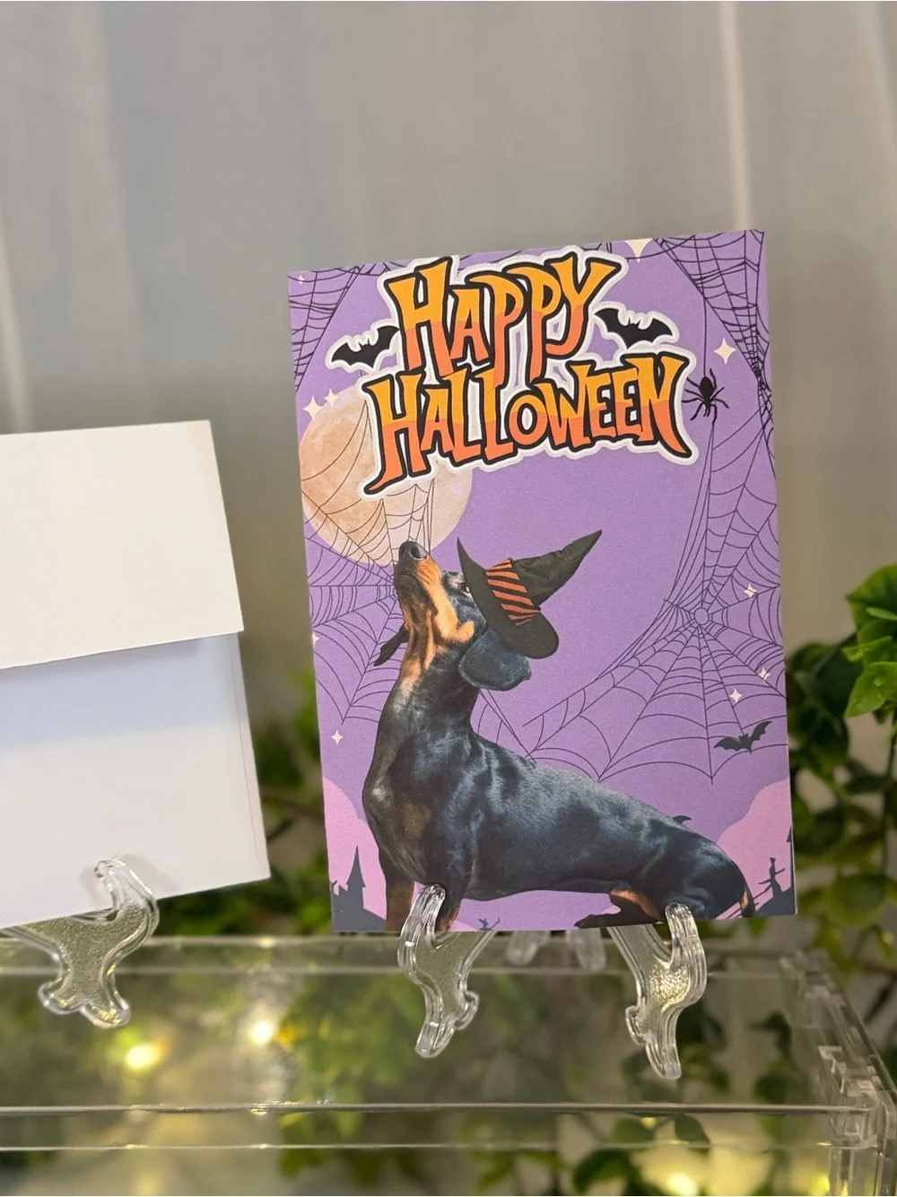 N/A celebrate halloween