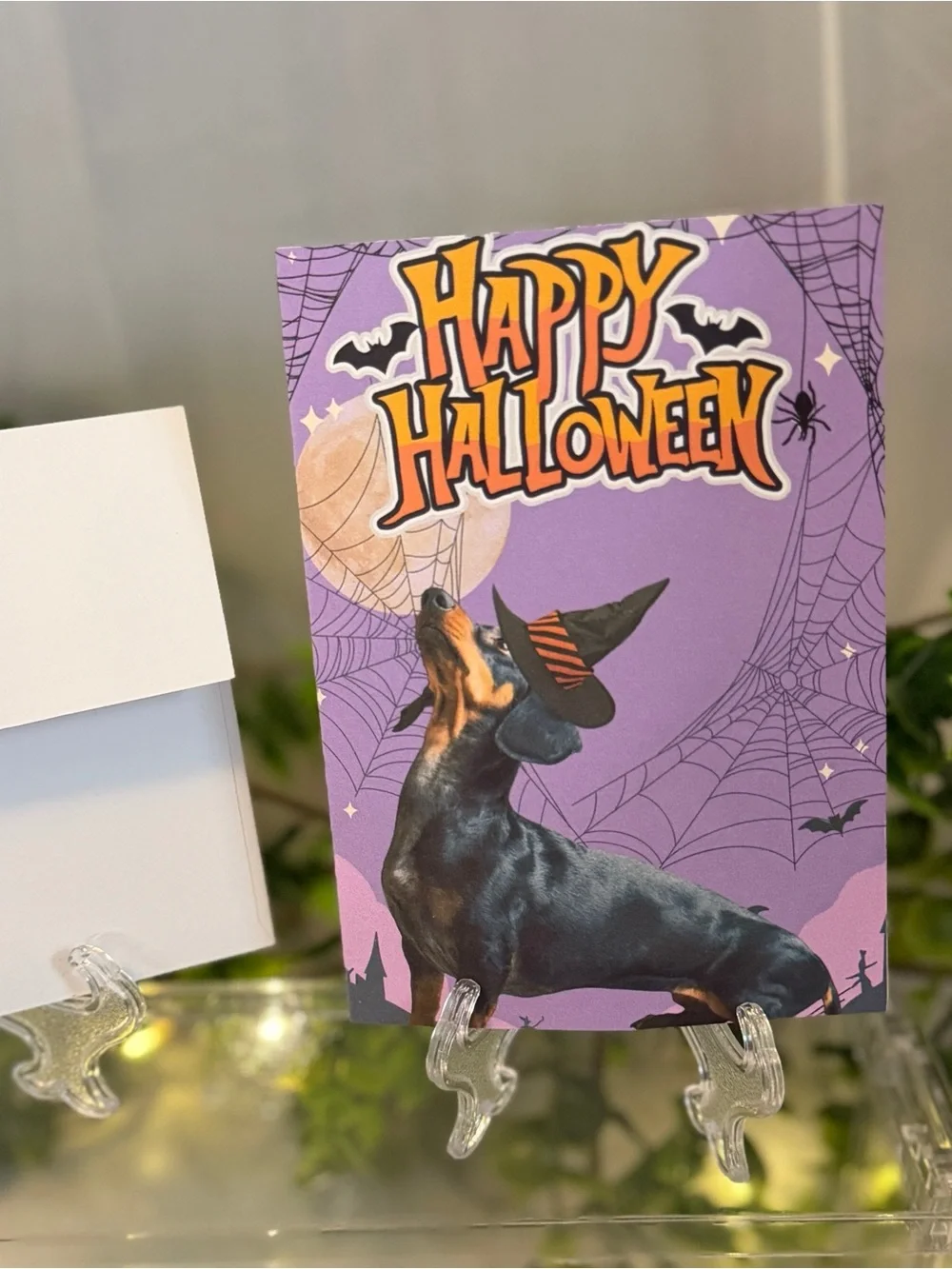 N/A celebrate halloween