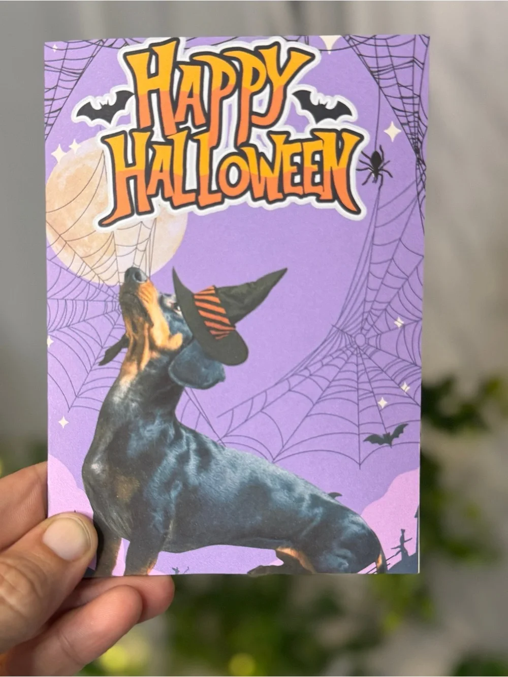 N/A celebrate halloween