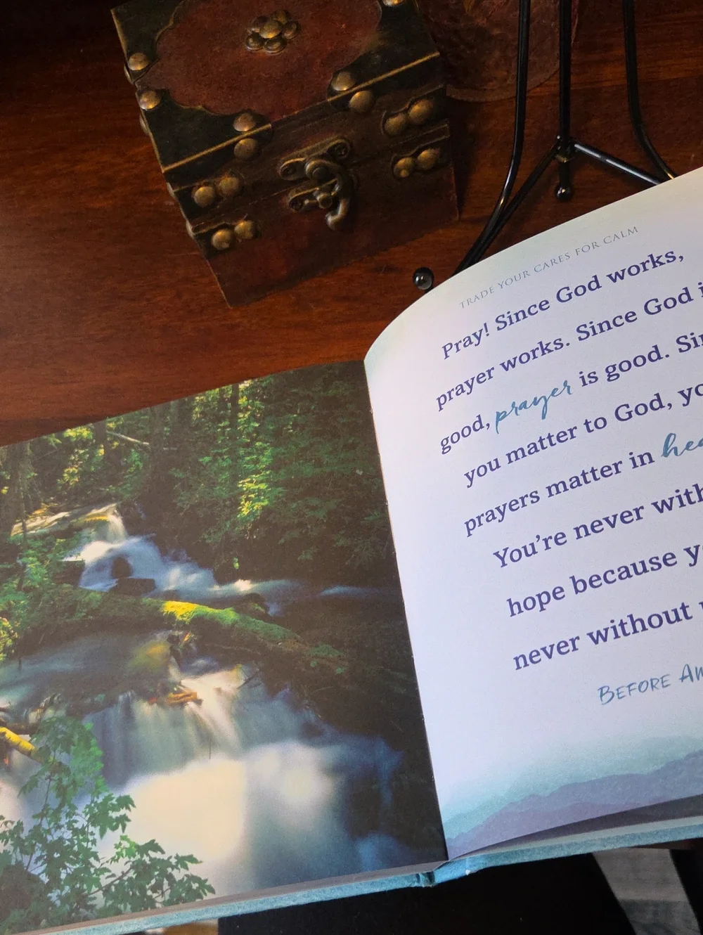 HALLMARK/ MAX LUCADO Calm  