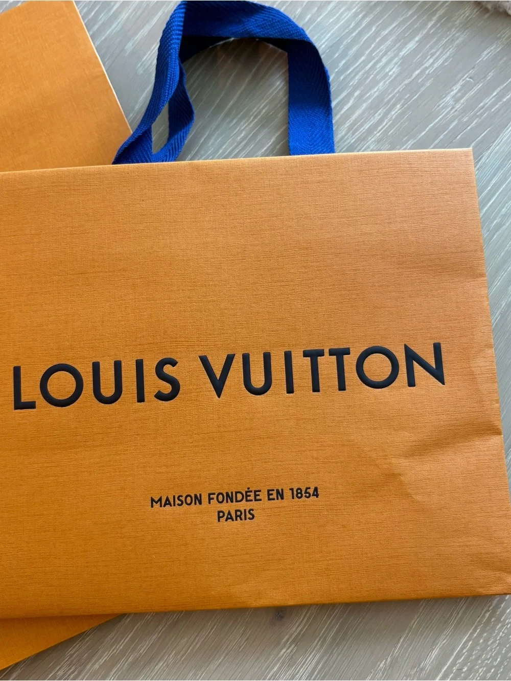 Louis Vuitton louis 13