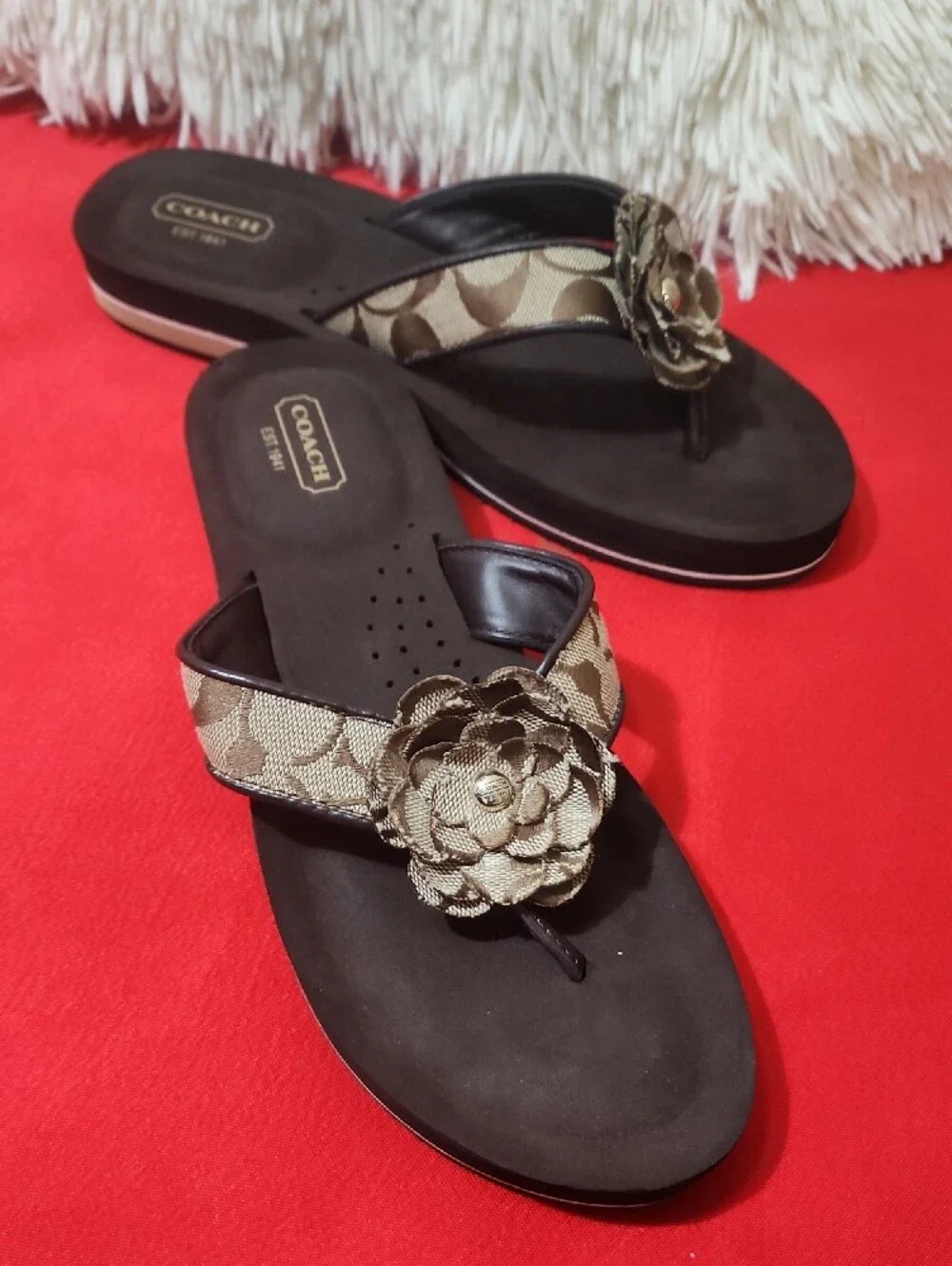 Coach Jillian Brown and Tan Floral Thong Sandals