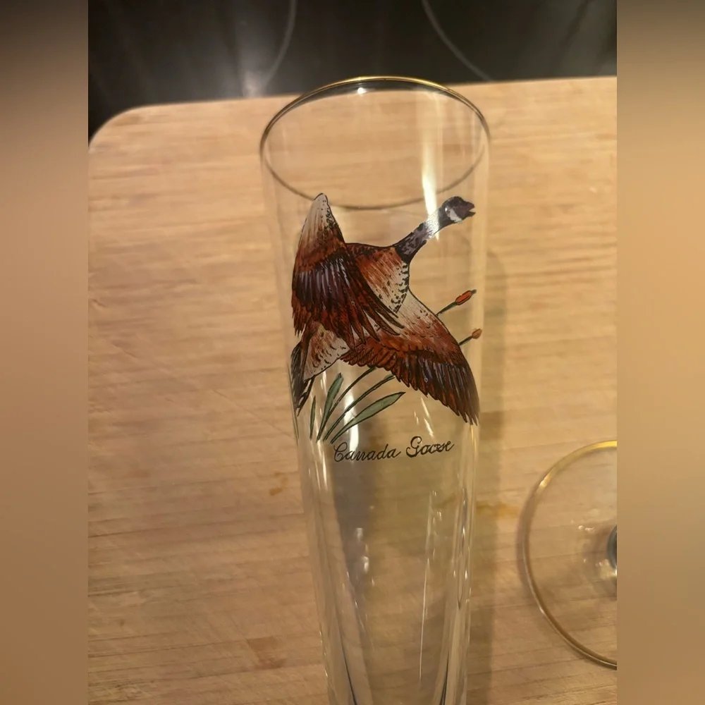 federal glass glasses made