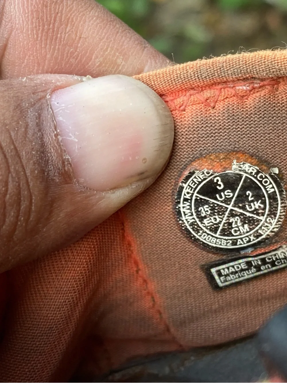 Keen interior coral