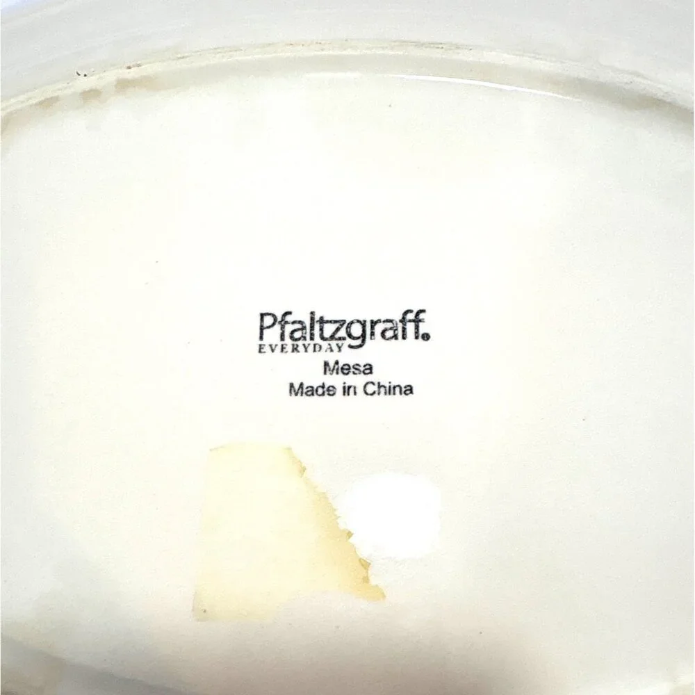 Pfaltzgraff this ceramic