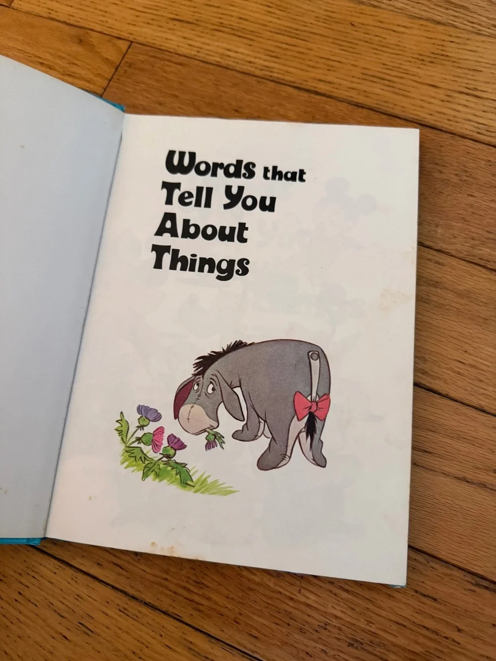 Disney picture book