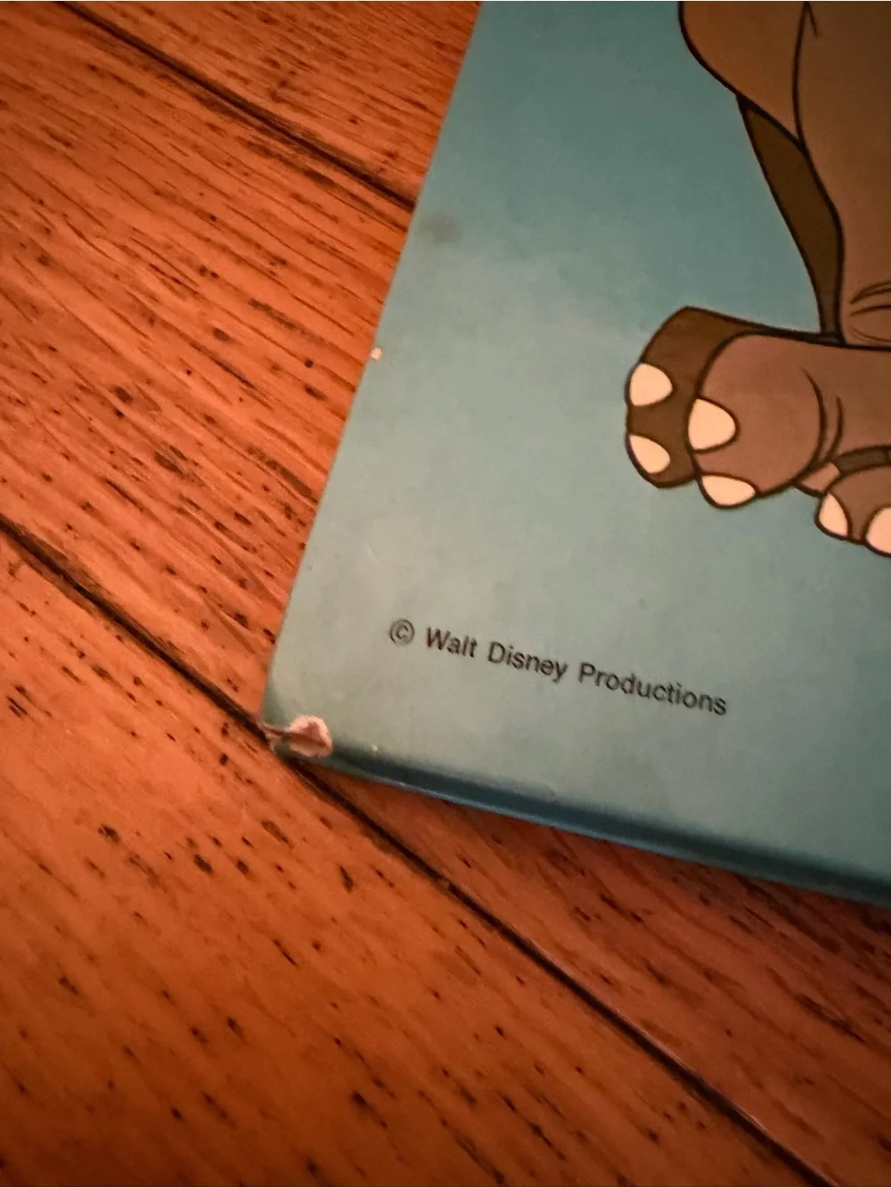 Disney picture book