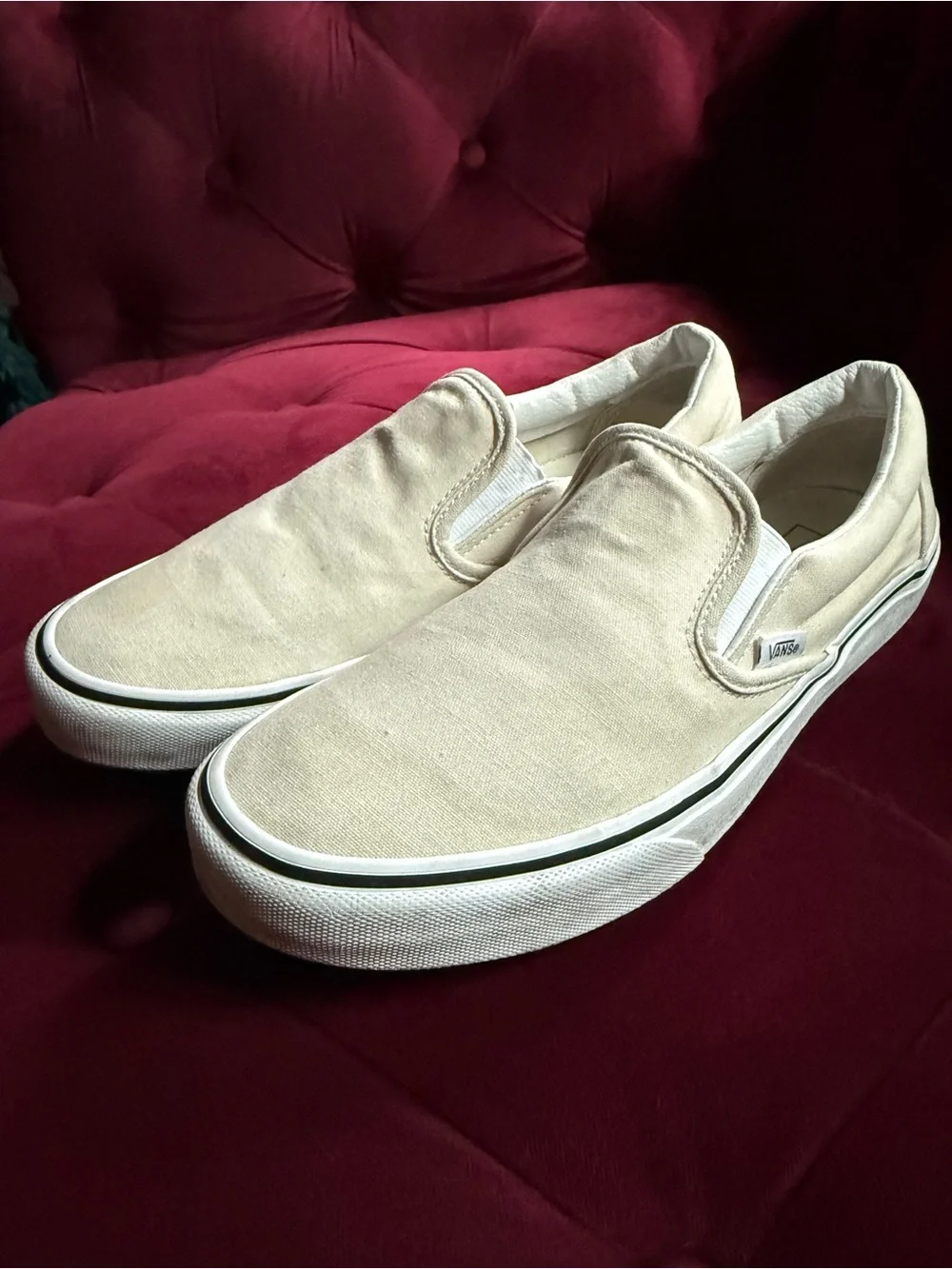 Vans iconic slip