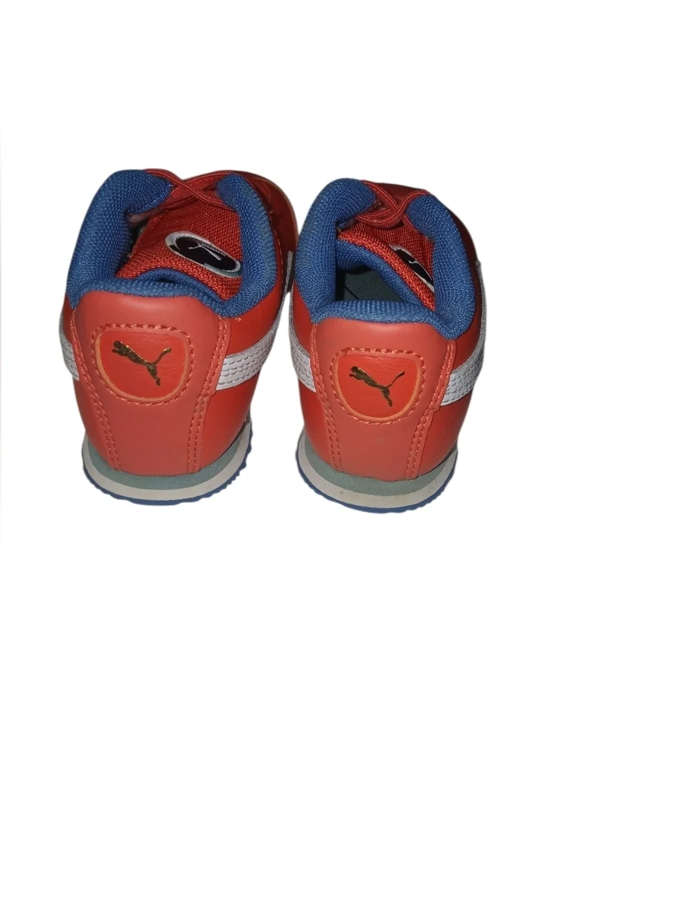 Puma roma country