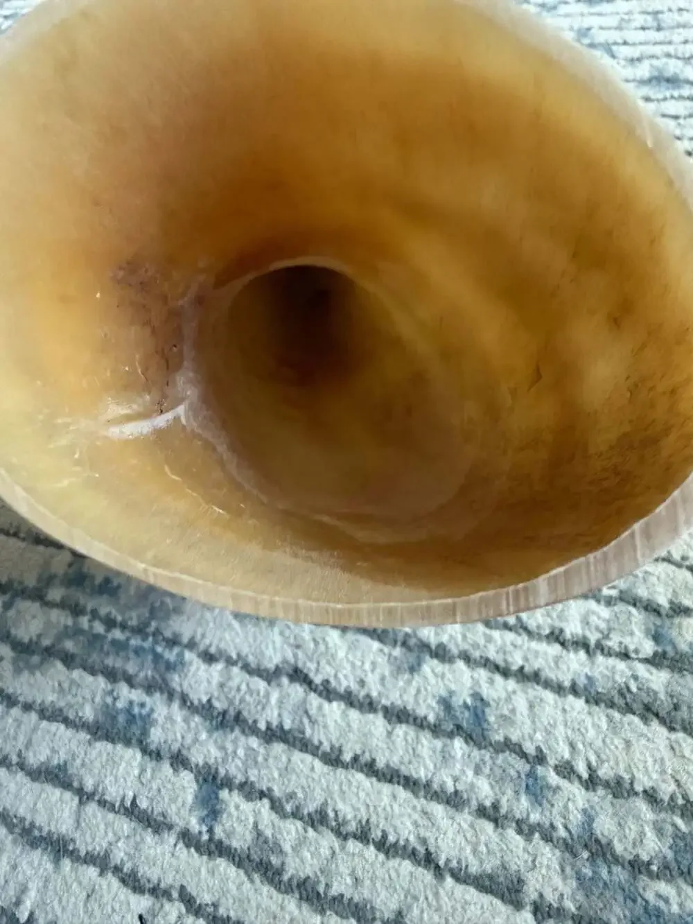 Natural Polished Steer Drinking Horn 13-Inch Decorative Horn