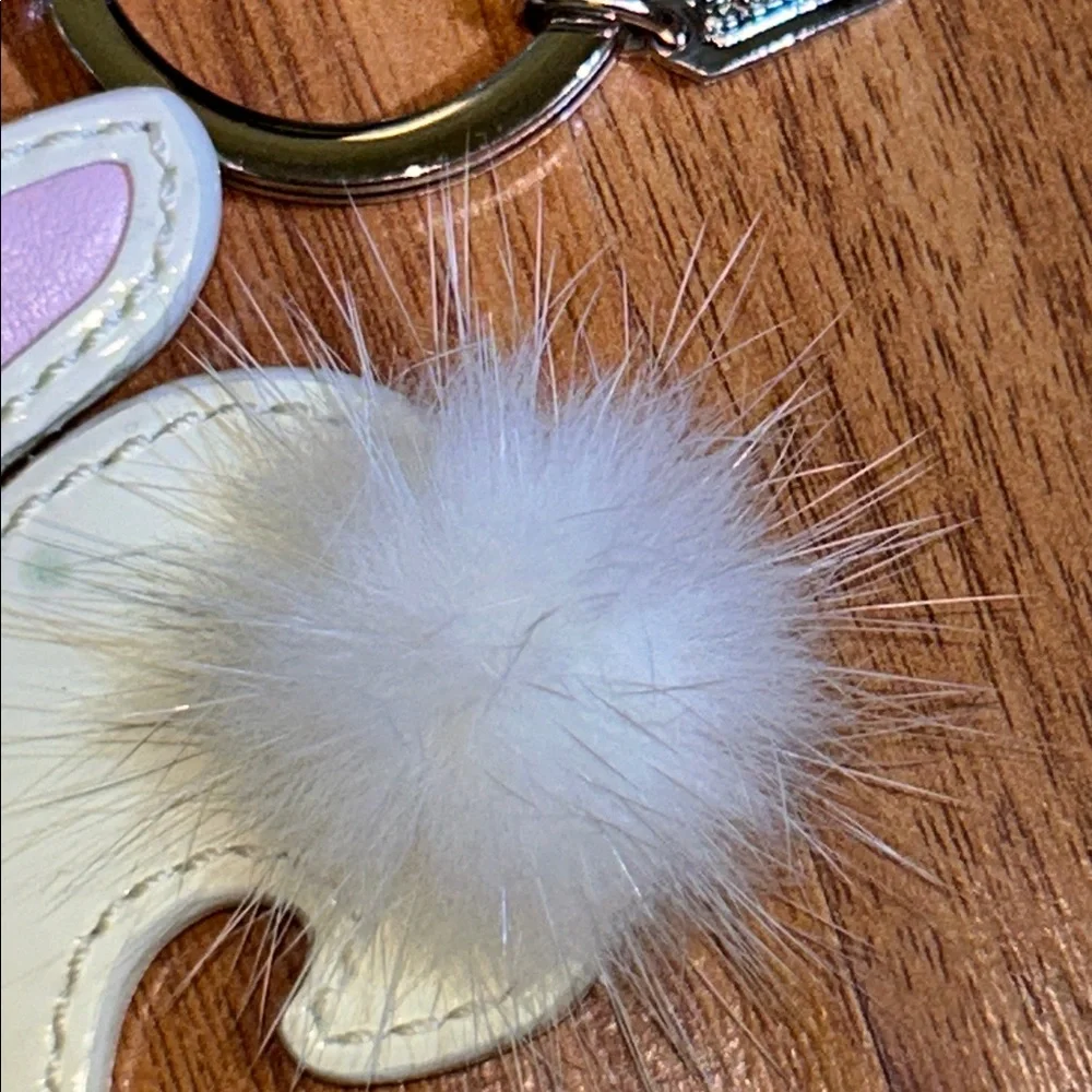 Coach rabbit mink