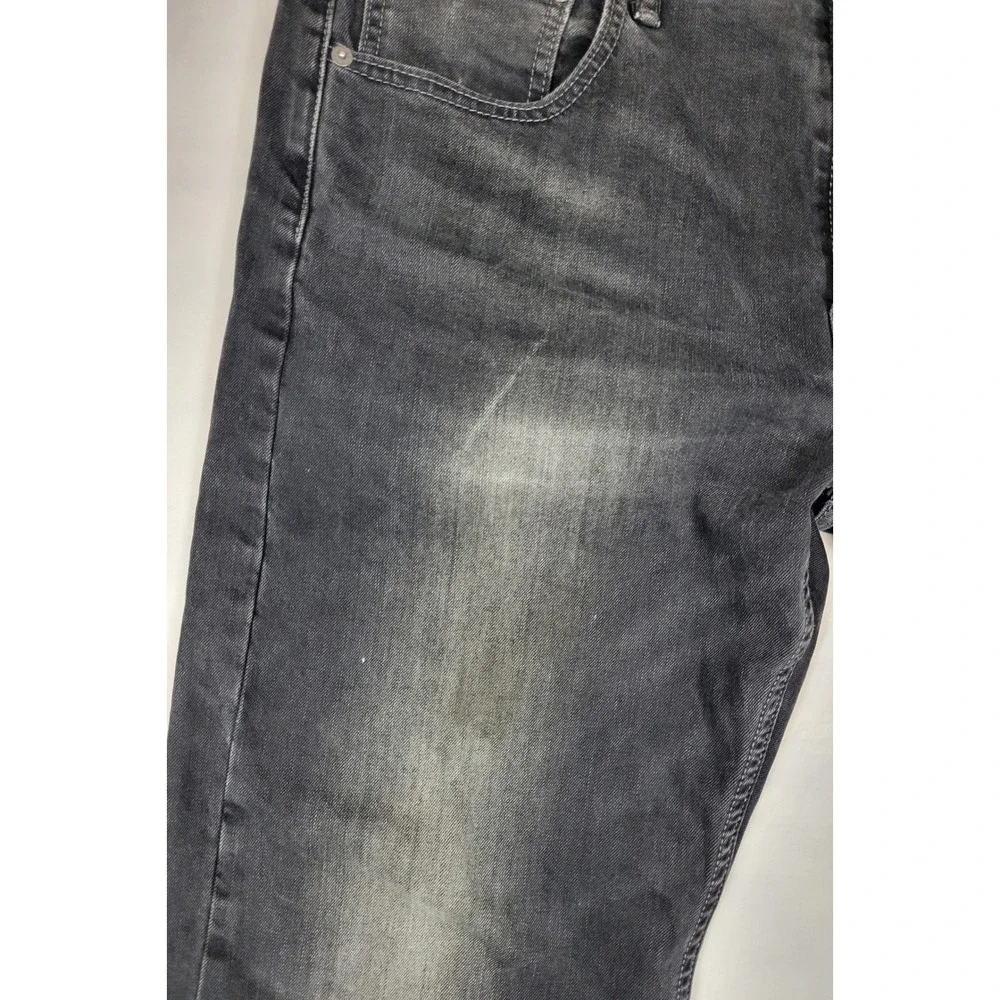 Levis levis 569