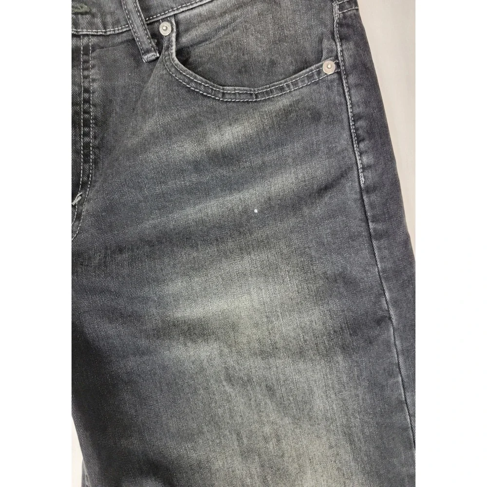 Levis levis 569