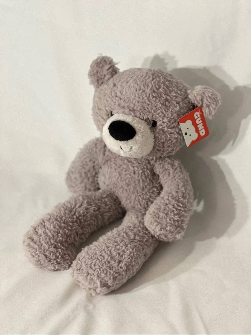 Gund fuzzy teddy