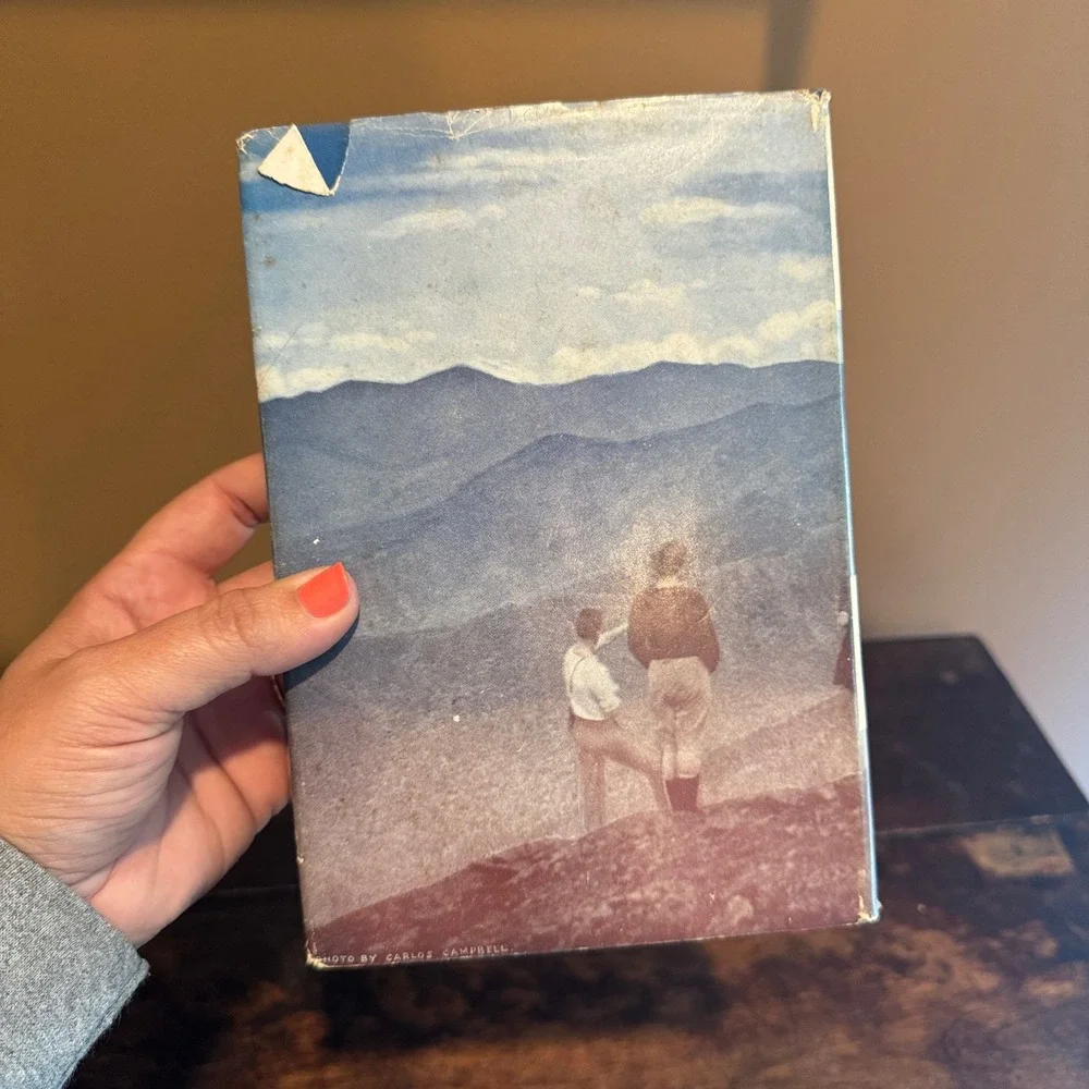 Southern Publishers illustrations land