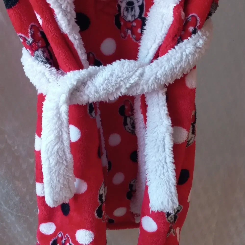 Disney junior minnie