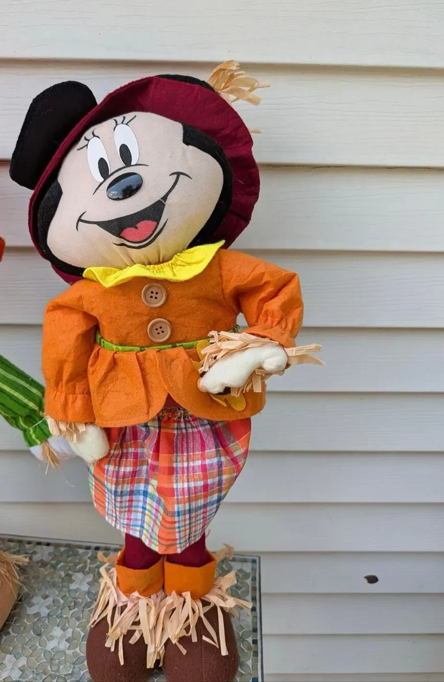 Disney gently used