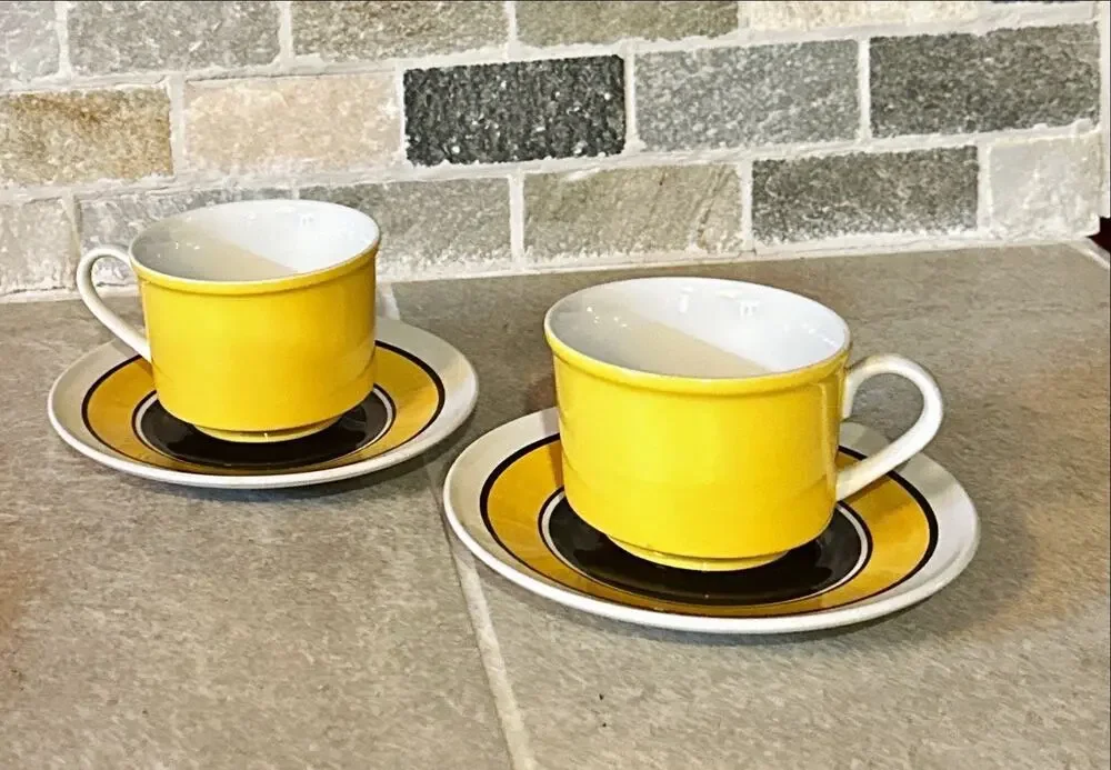 Pair Vintage Mikasa Epiqure One Collage Cup & Saucer