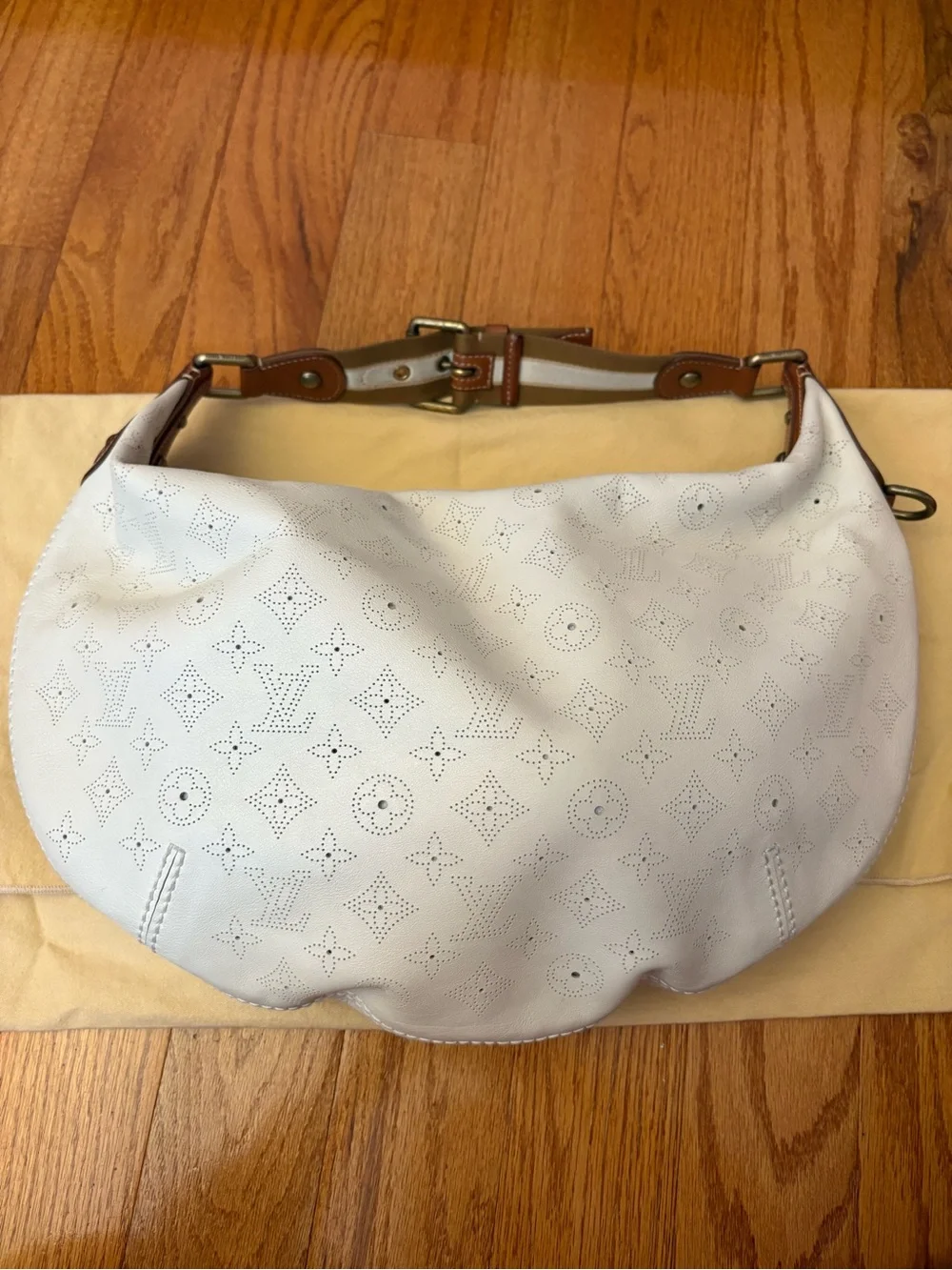 Louis Vuitton classic louis