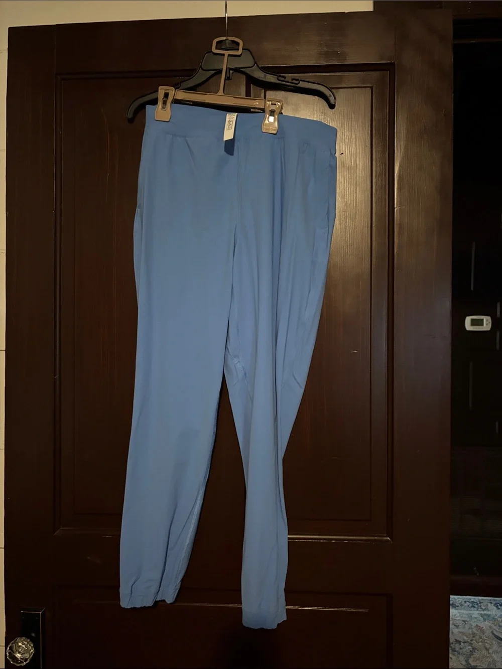 lululemon athletica Light Blue Women's Track Joggers