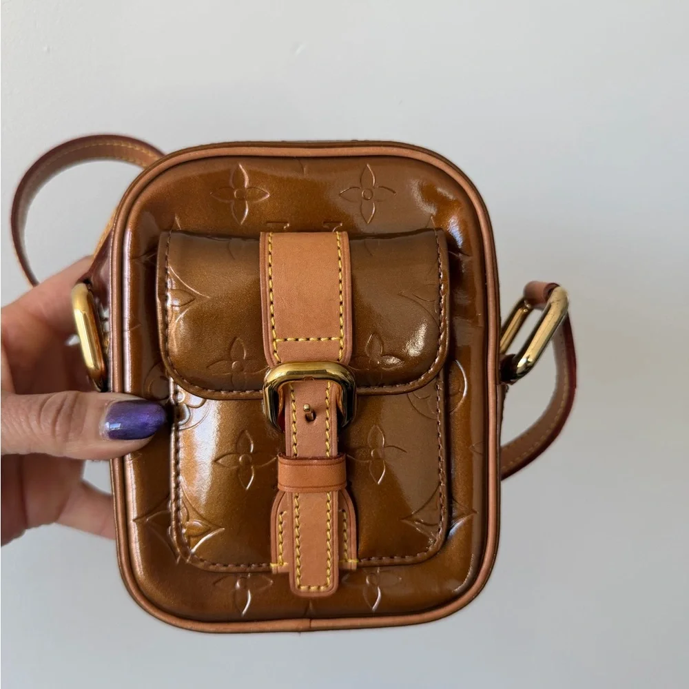 Louis Vuitton stylish brown