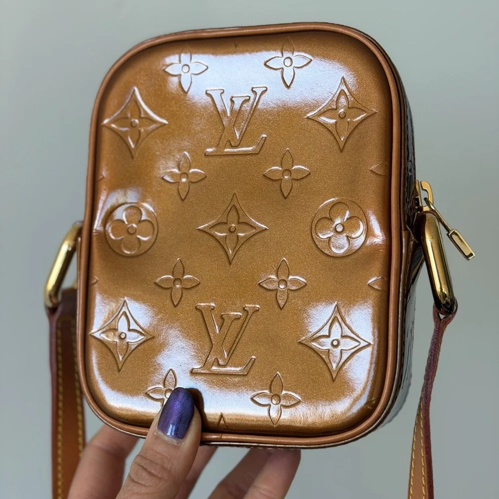 Louis Vuitton stylish brown