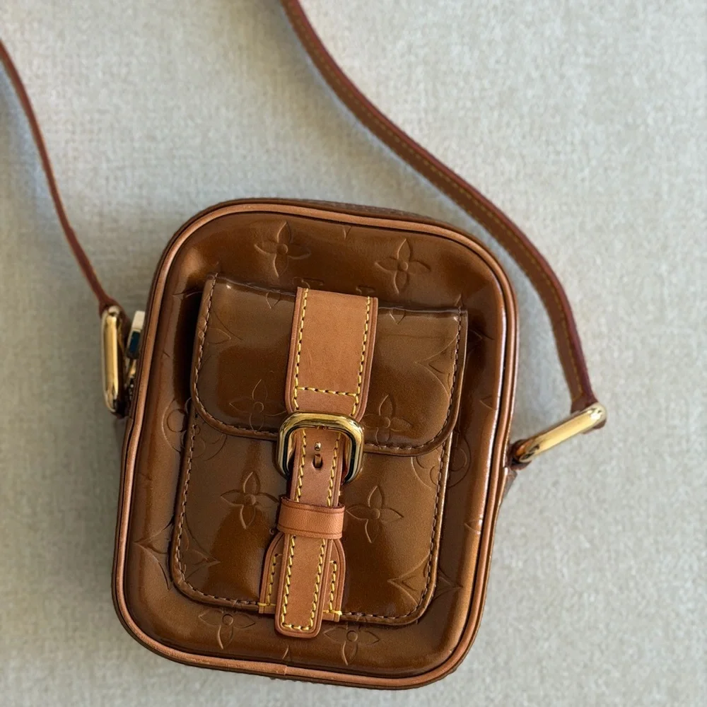 Louis Vuitton stylish brown