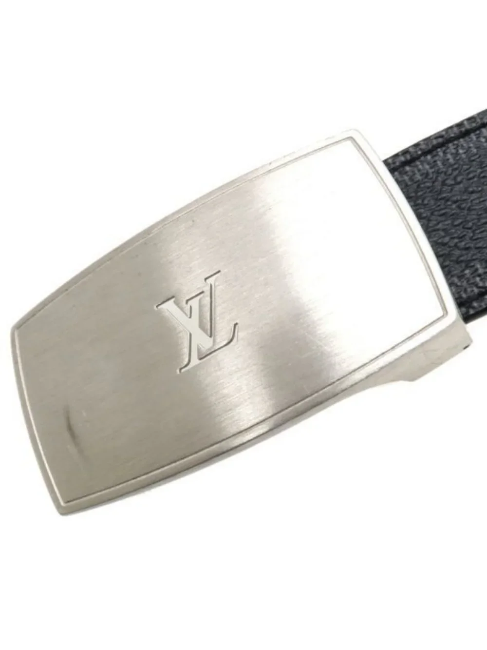 Louis Vuitton brand louis