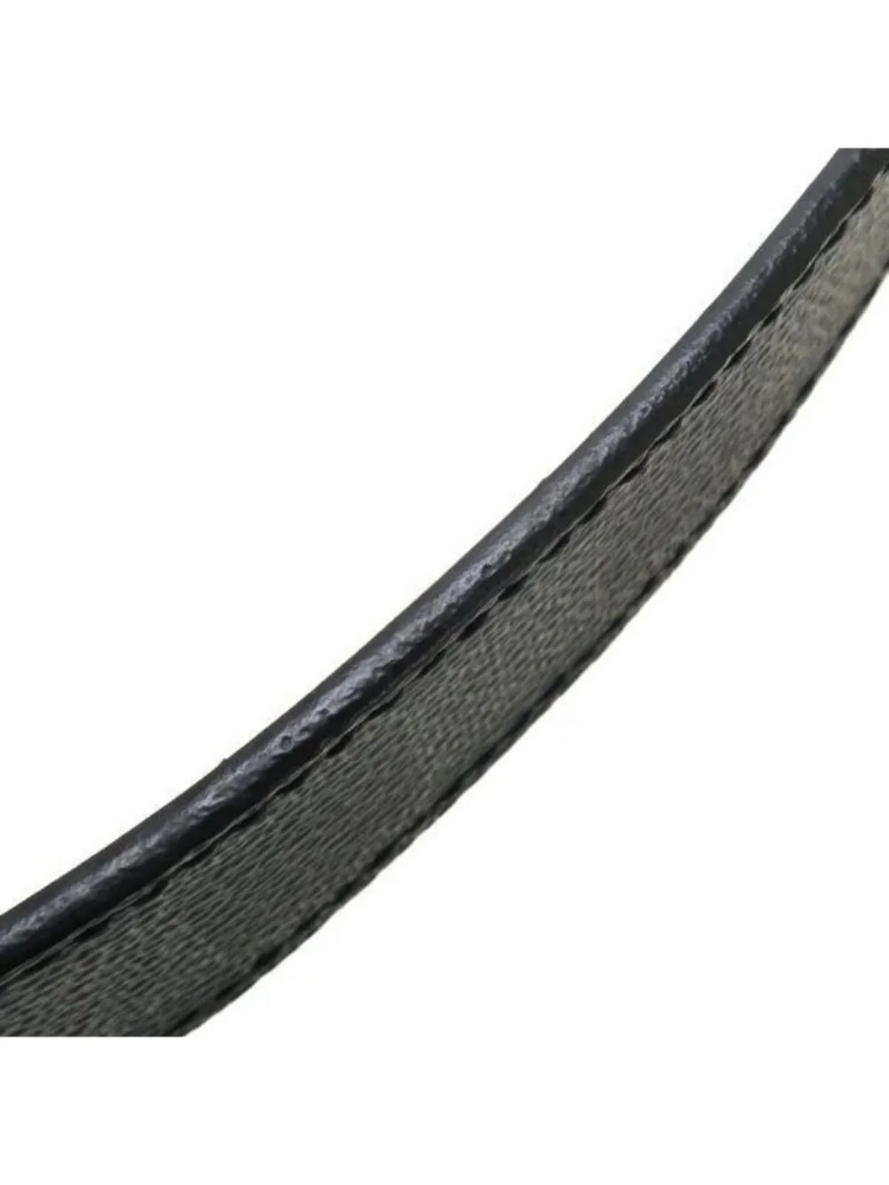 Louis Vuitton brand louis