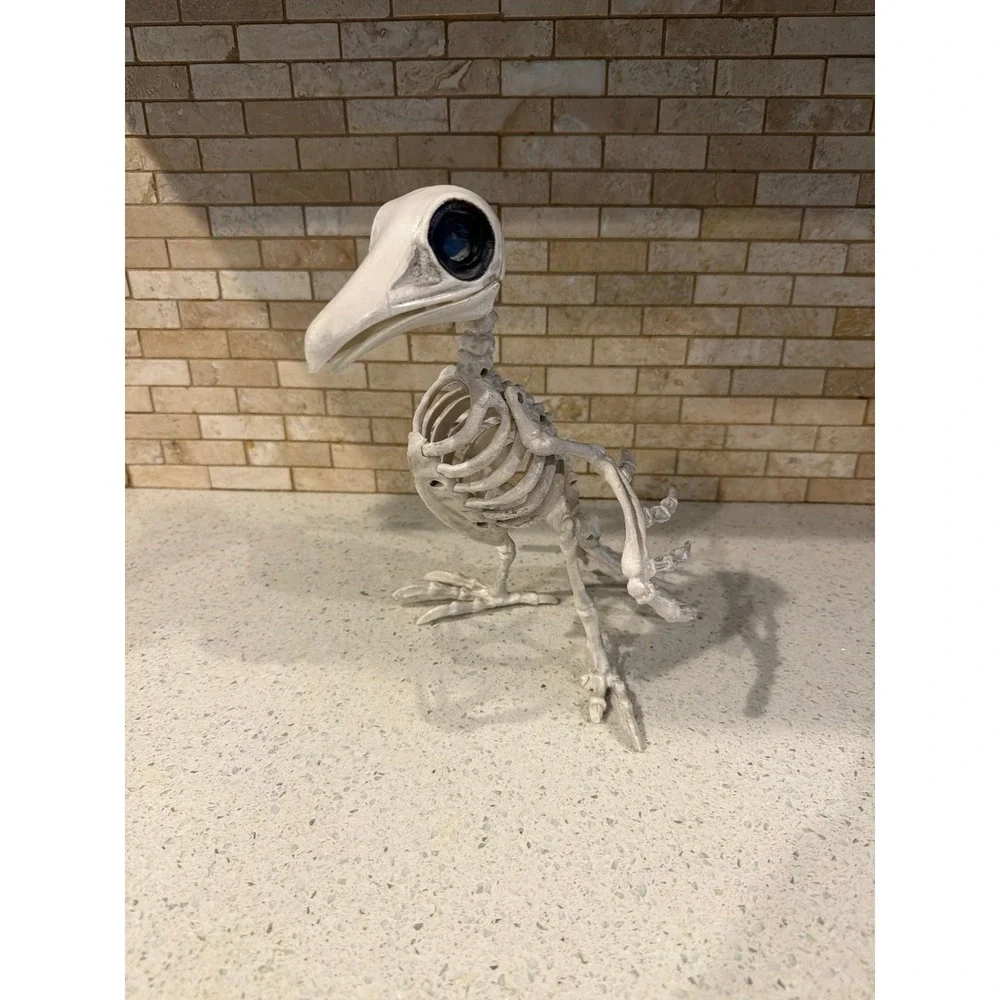 Crazy bonez skeleton bird dodo crow Halloween prop decor