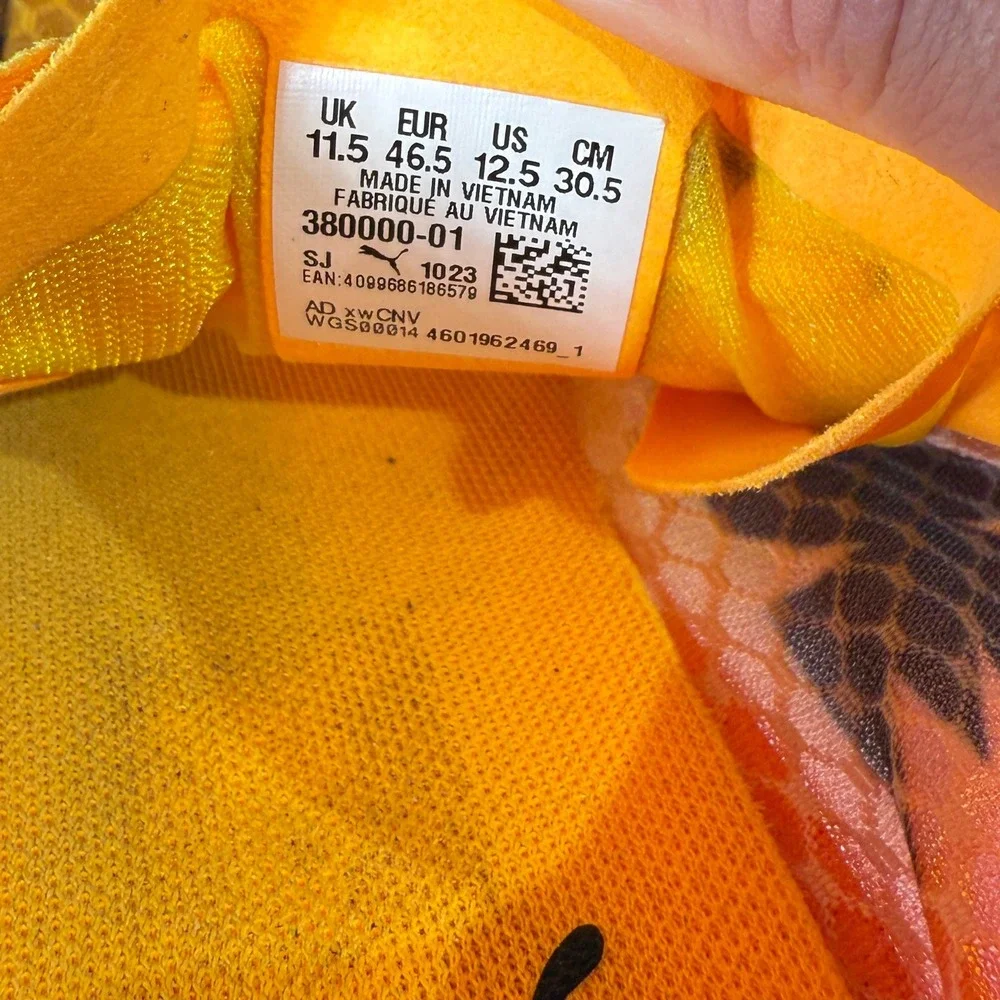 Puma evospeed distance
