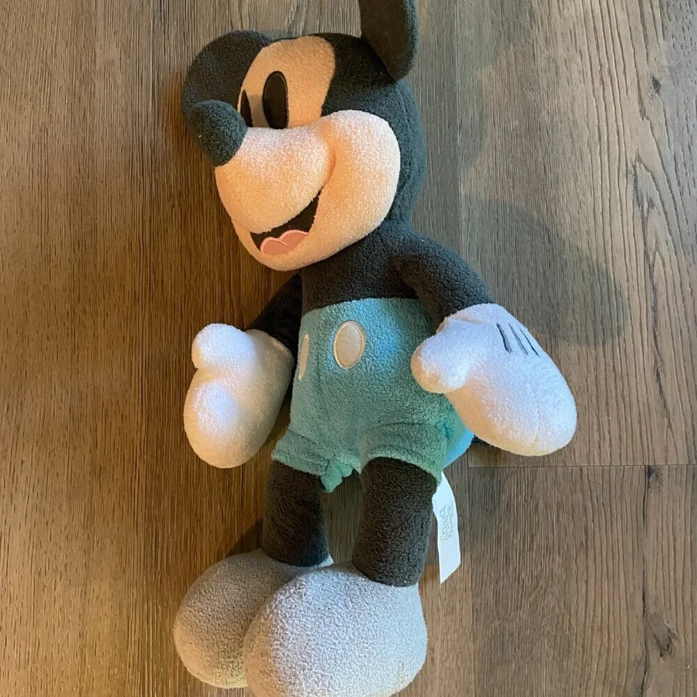 Disney parks my