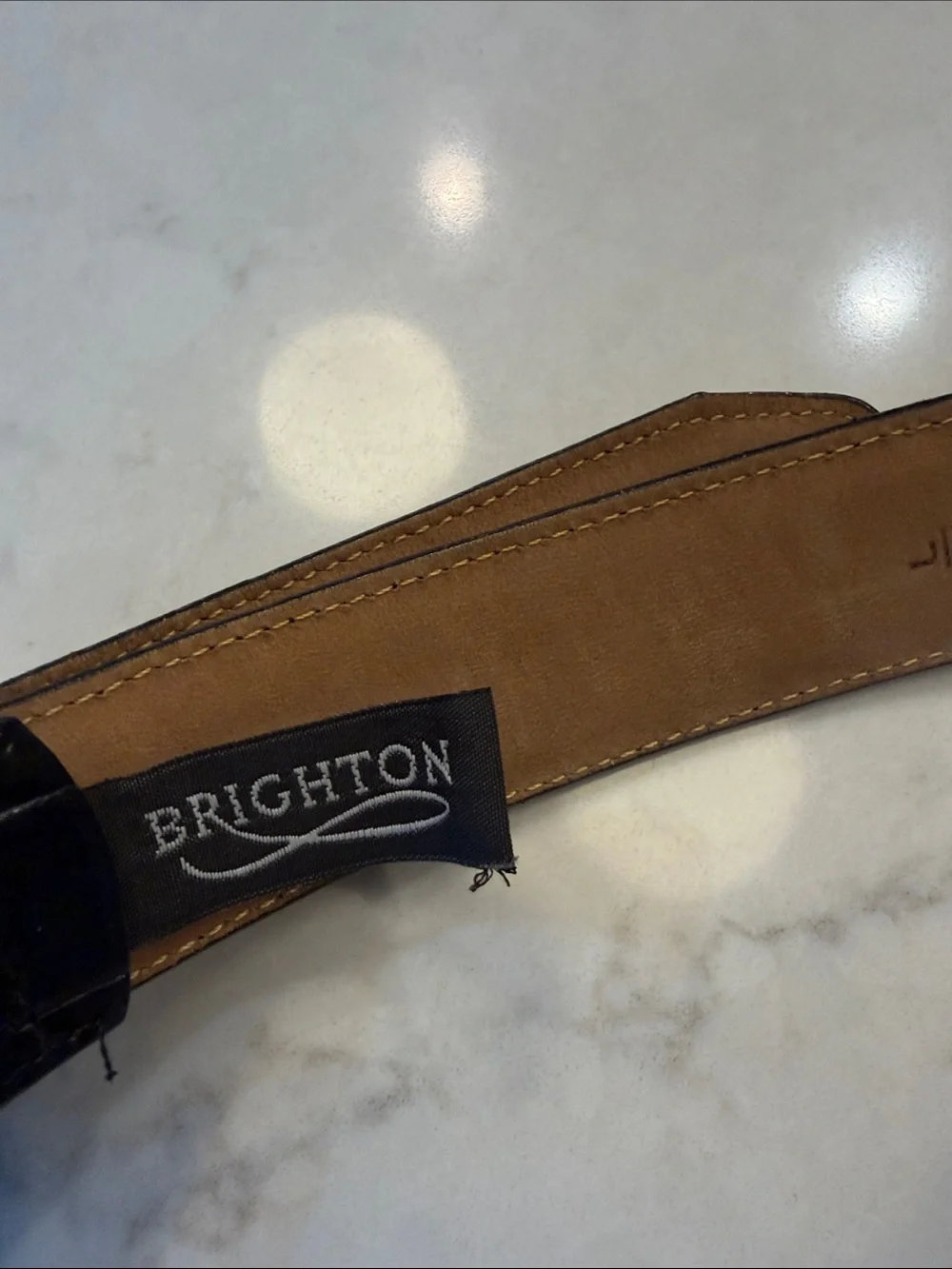 Brighton elevate your