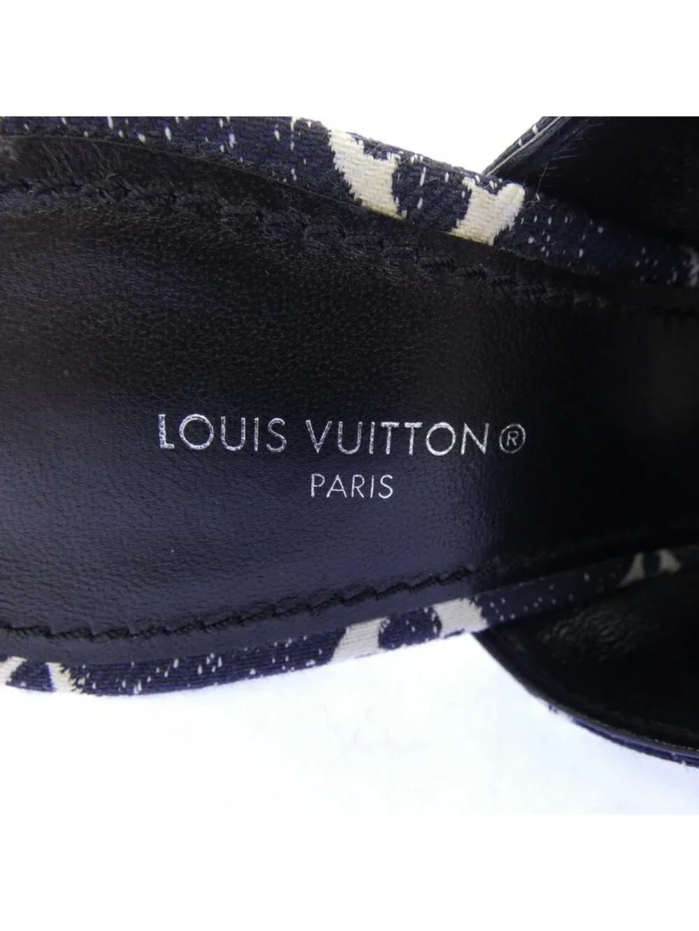 Louis Vuitton brand louis