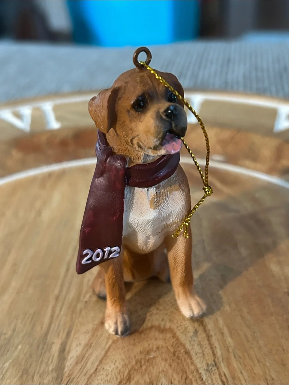 None boxer dog