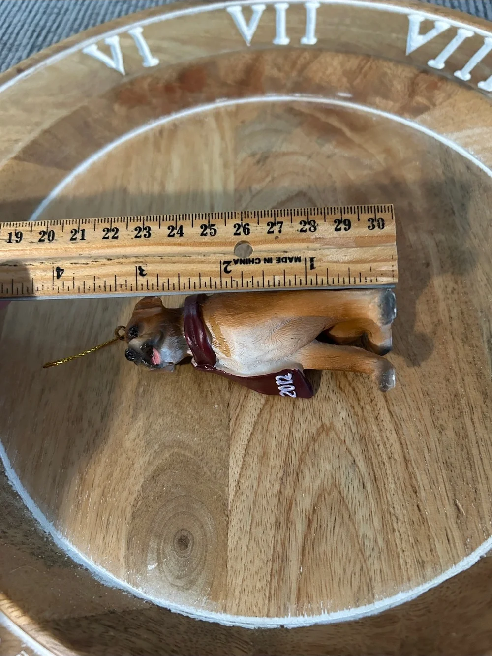 None boxer dog