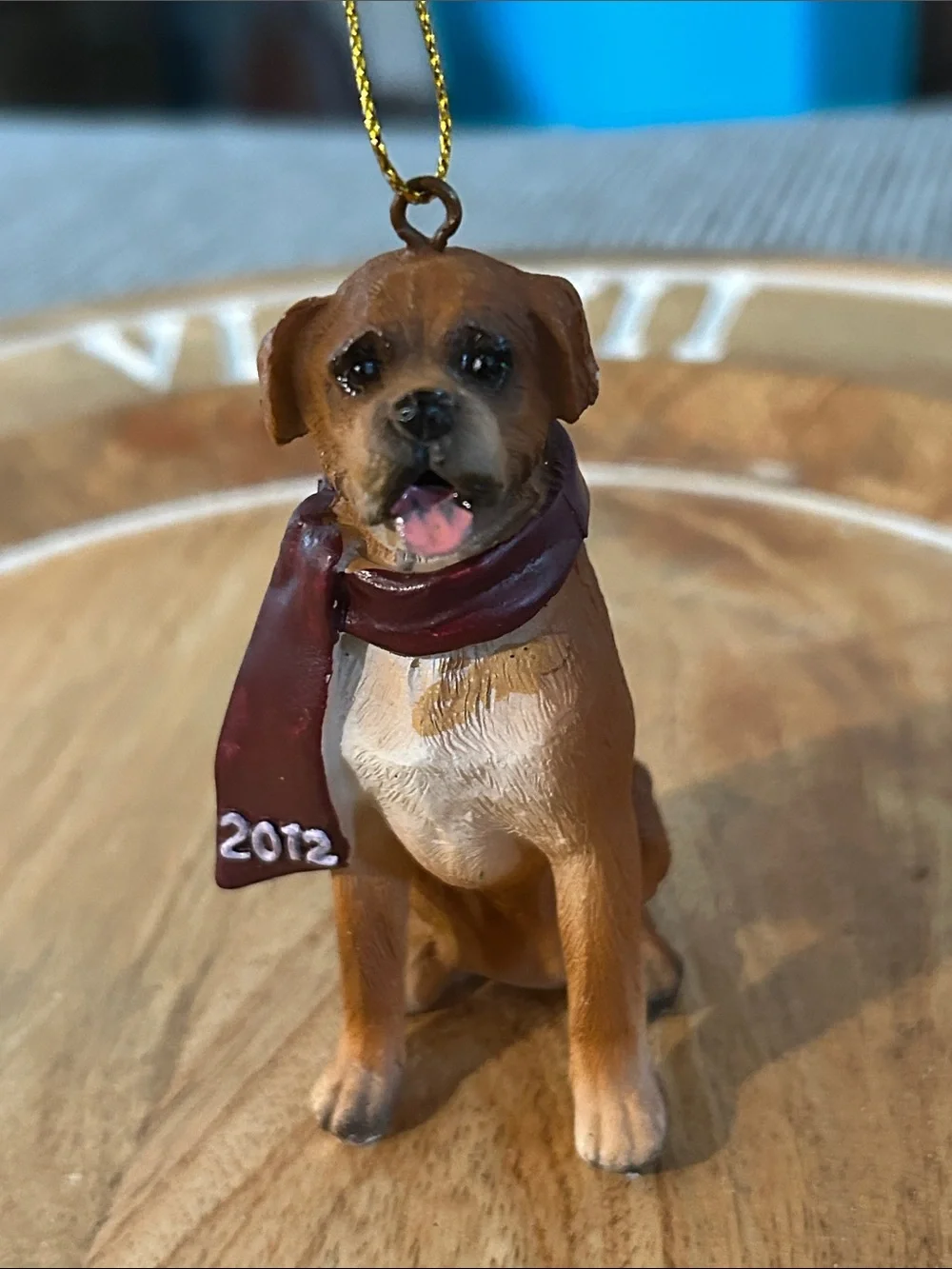 None boxer dog