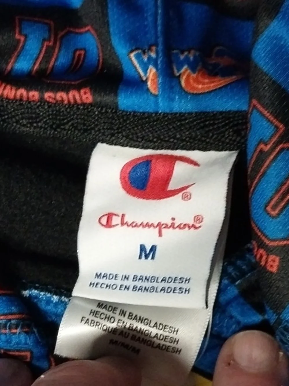 Champion official hoodie