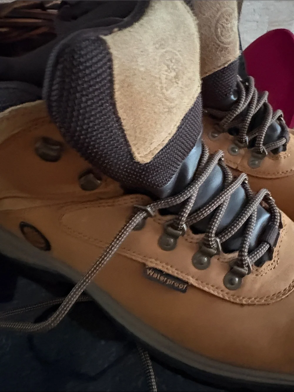 Timberland classic lace