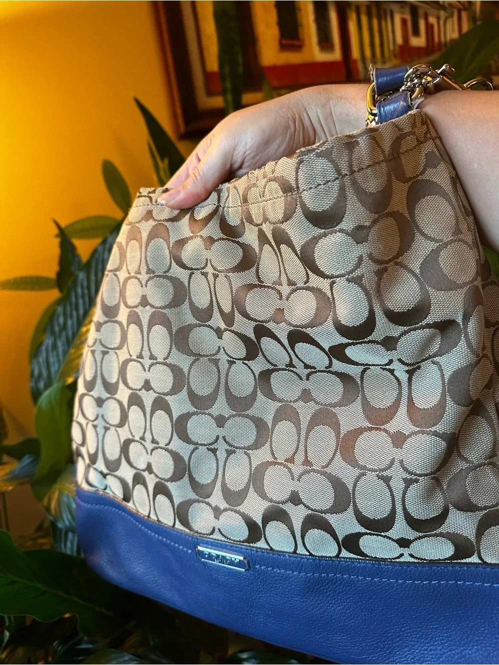 Coach signature canvas